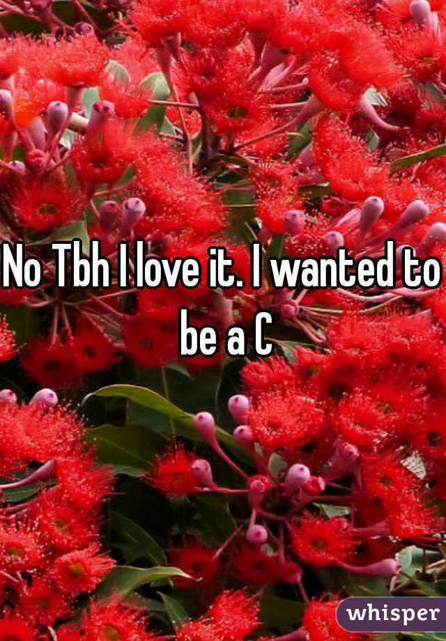 No Tbh I love it. I wanted to be a C