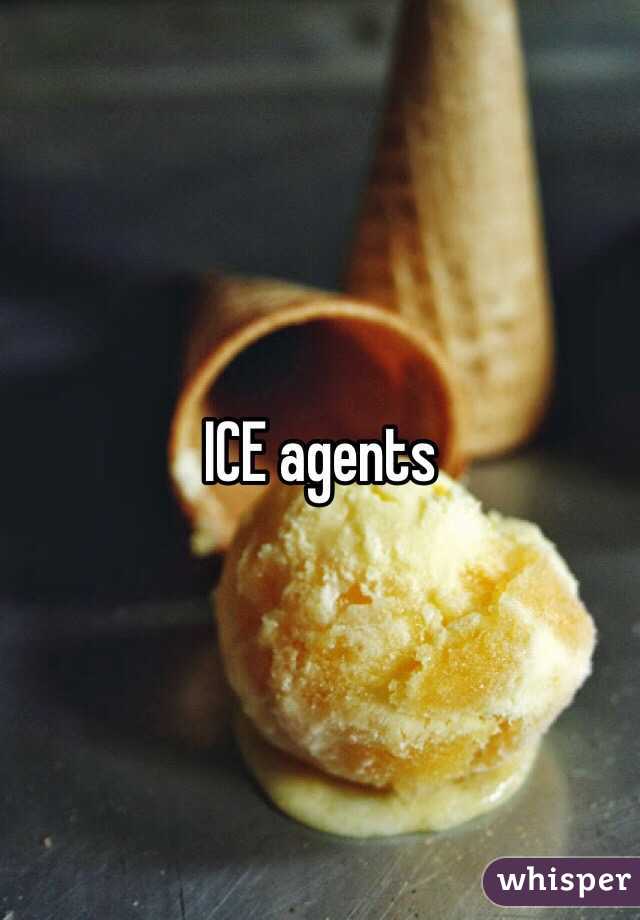 ICE agents 