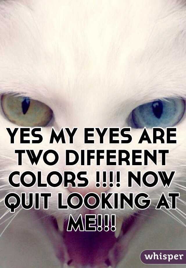 YES MY EYES ARE TWO DIFFERENT COLORS !!!! NOW QUIT LOOKING AT ME!!! 