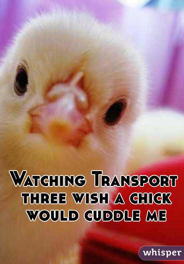 Watching Transport three wish a chick would cuddle me