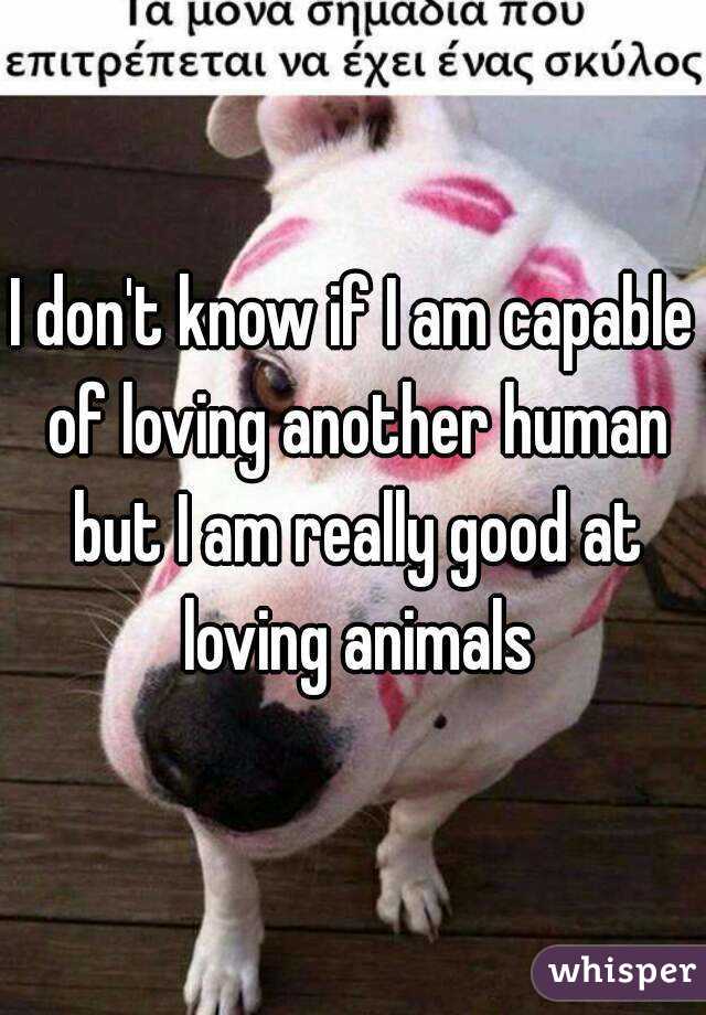 I don't know if I am capable of loving another human but I am really good at loving animals