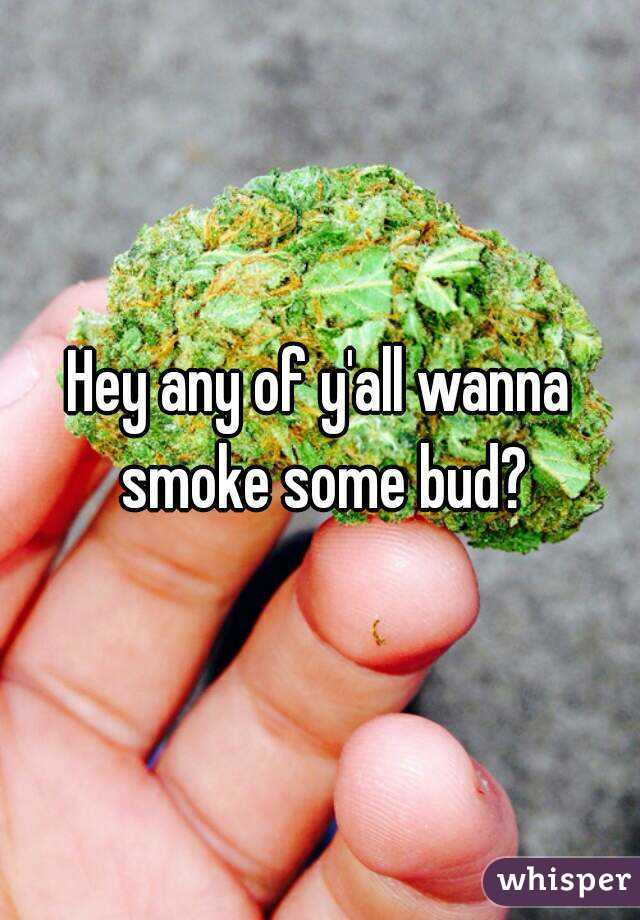 Hey any of y'all wanna smoke some bud?