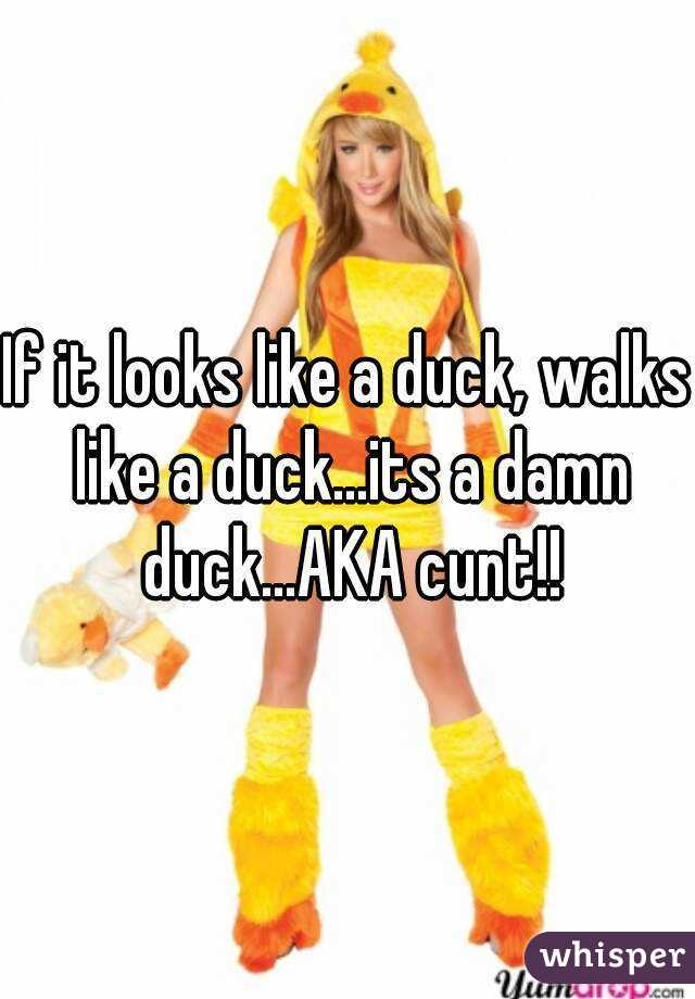 If it looks like a duck, walks like a duck...its a damn duck...AKA cunt!!