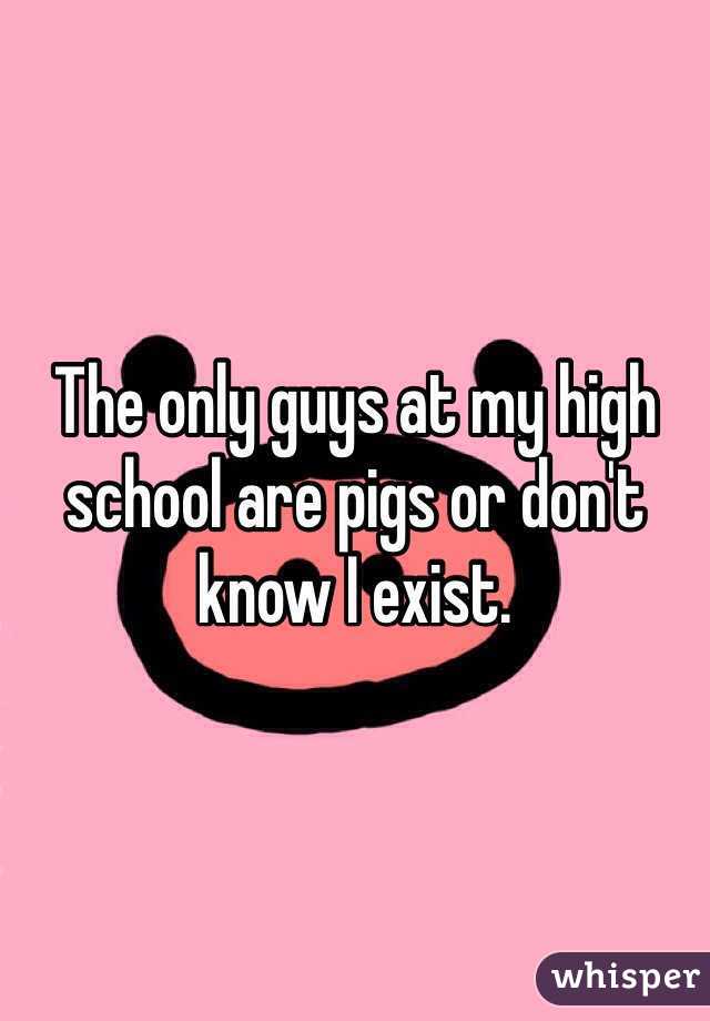 The only guys at my high school are pigs or don't know I exist. 