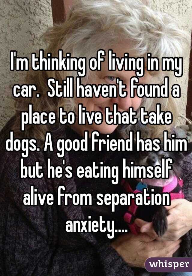 I'm thinking of living in my car.  Still haven't found a place to live that take dogs. A good friend has him but he's eating himself alive from separation anxiety....