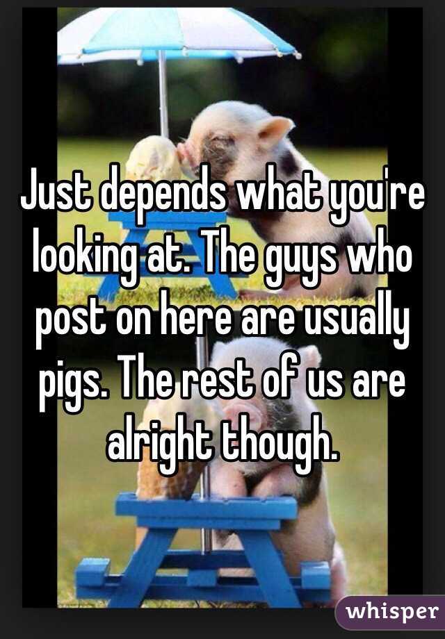 Just depends what you're looking at. The guys who post on here are usually pigs. The rest of us are alright though.