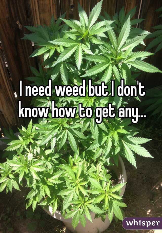 I need weed but I don't know how to get any...