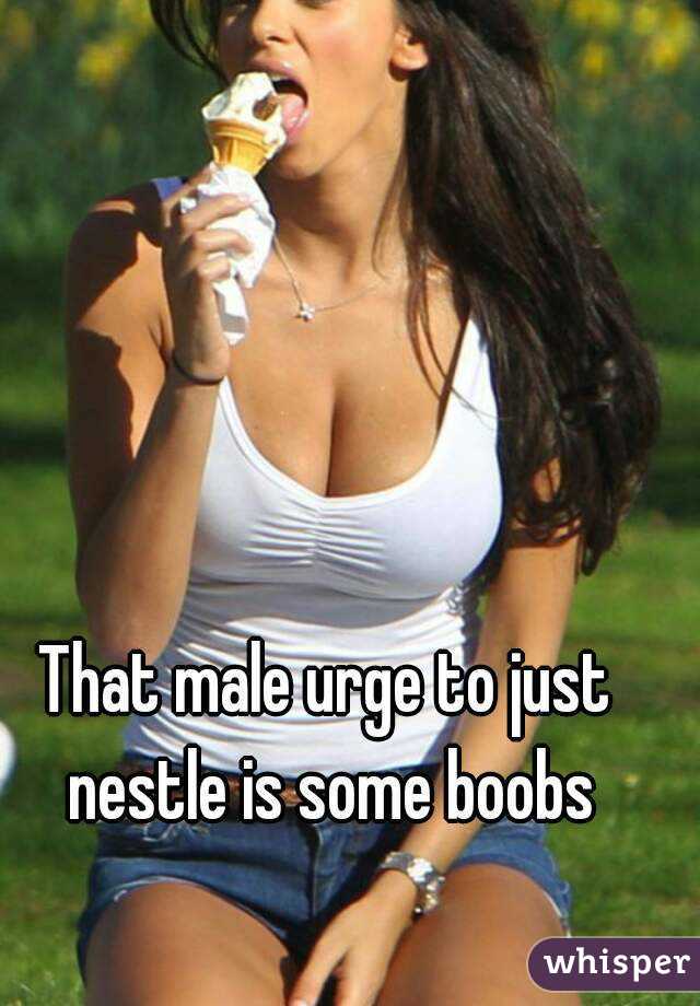 That male urge to just nestle is some boobs