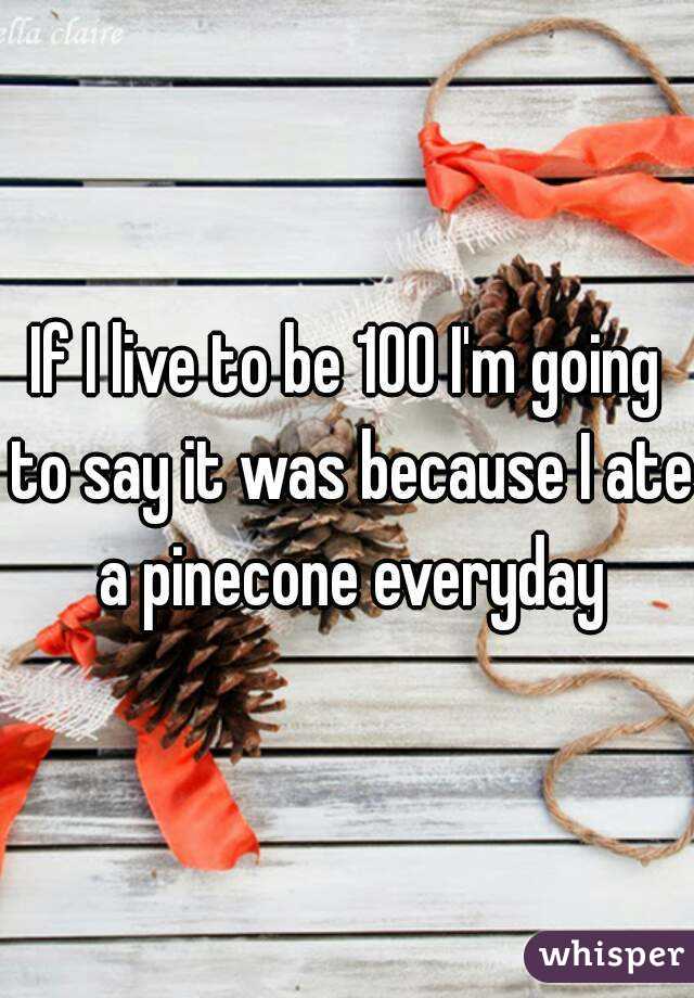 If I live to be 100 I'm going to say it was because I ate a pinecone everyday