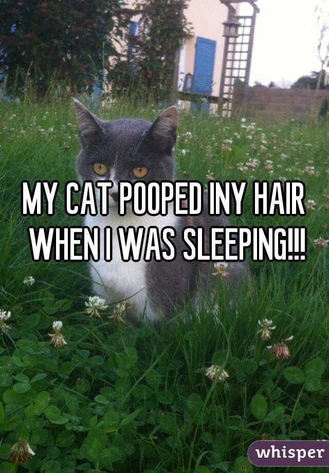 MY CAT POOPED INY HAIR WHEN I WAS SLEEPING!!!