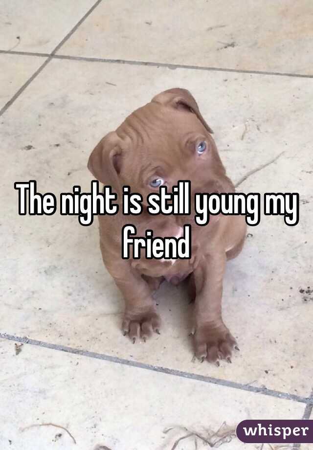 The night is still young my friend 