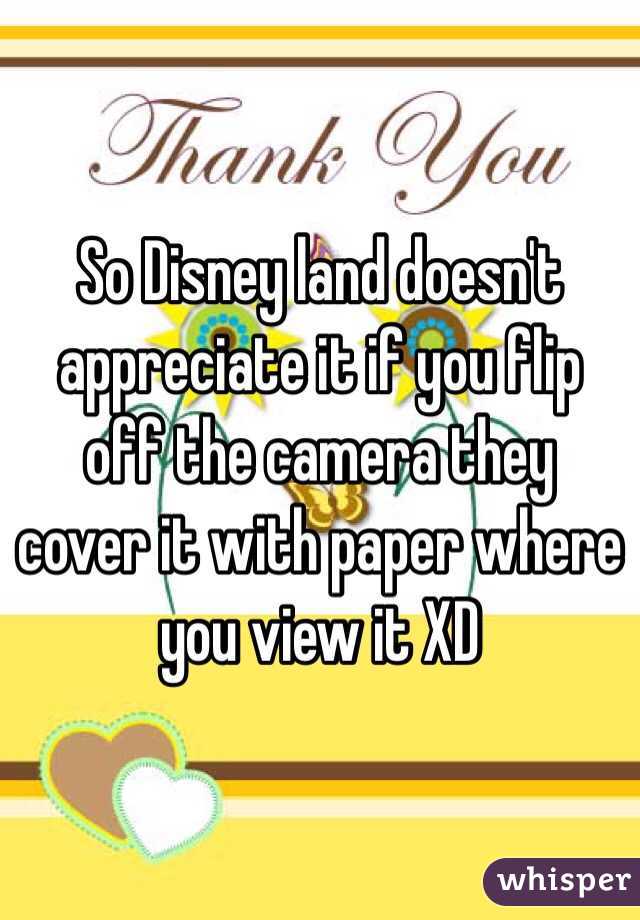 So Disney land doesn't appreciate it if you flip off the camera they cover it with paper where you view it XD