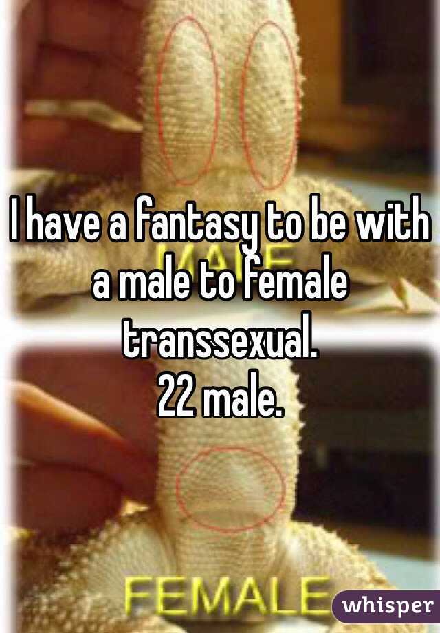 I have a fantasy to be with a male to female transsexual. 
22 male. 