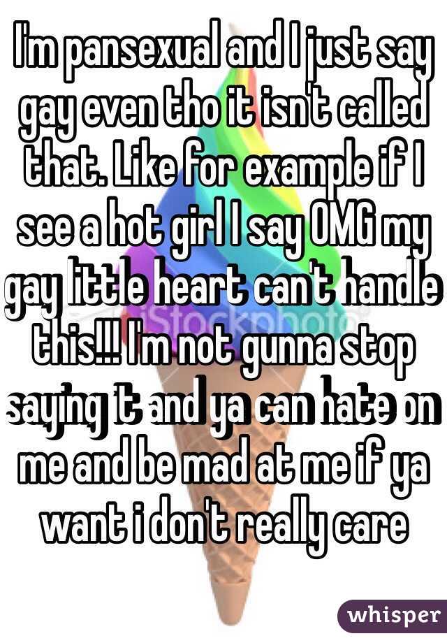 I'm pansexual and I just say gay even tho it isn't called that. Like for example if I see a hot girl I say OMG my gay little heart can't handle this!!! I'm not gunna stop saying it and ya can hate on me and be mad at me if ya want i don't really care