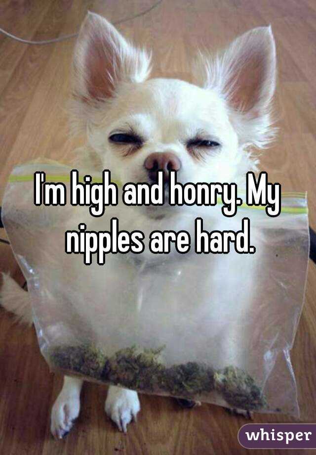 I'm high and honry. My nipples are hard.