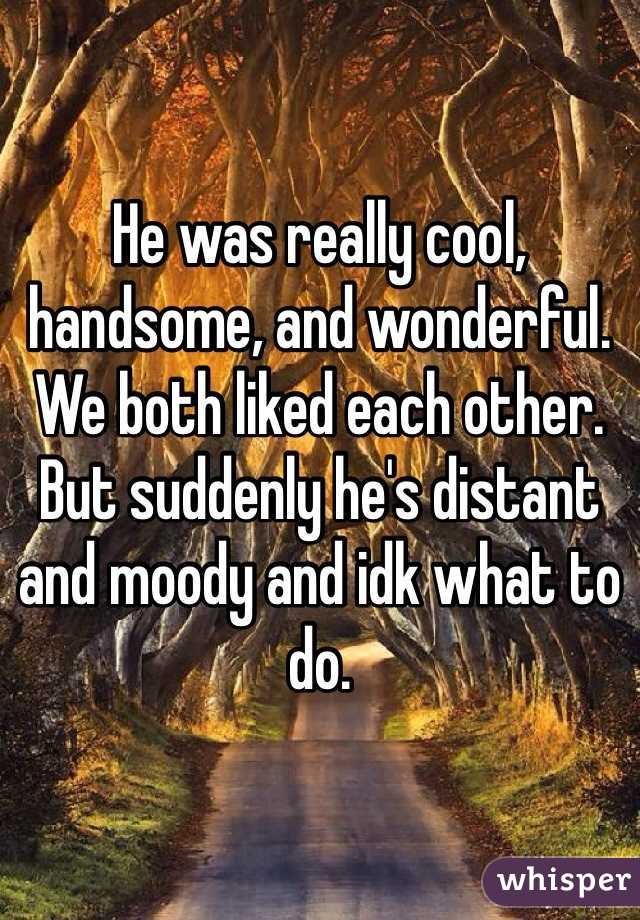 He was really cool, handsome, and wonderful. We both liked each other. But suddenly he's distant and moody and idk what to do.