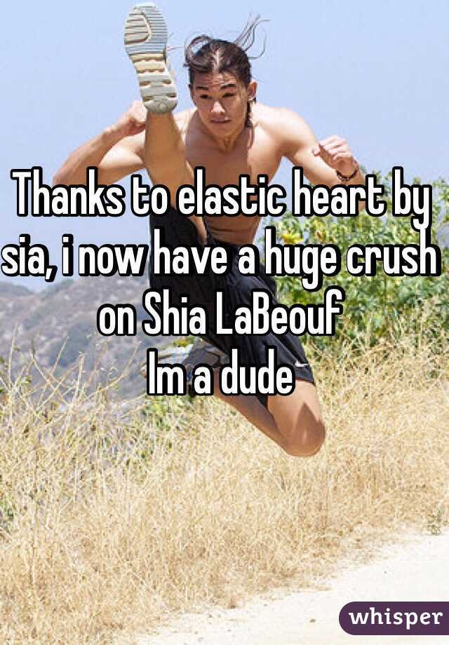 Thanks to elastic heart by sia, i now have a huge crush on Shia LaBeouf
Im a dude