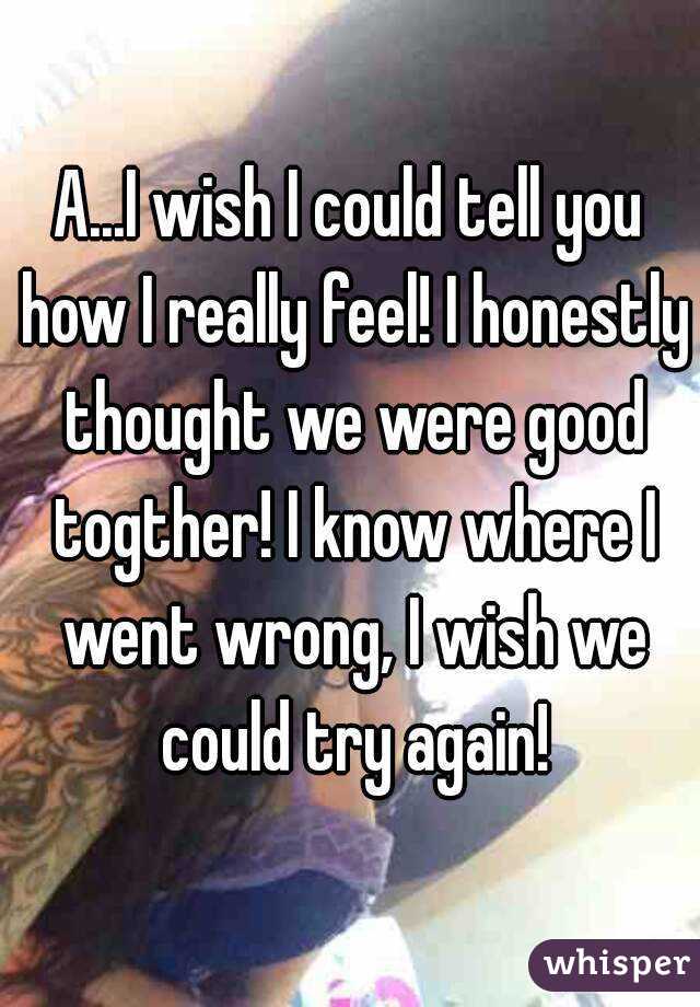 A...I wish I could tell you how I really feel! I honestly thought we were good togther! I know where I went wrong, I wish we could try again!