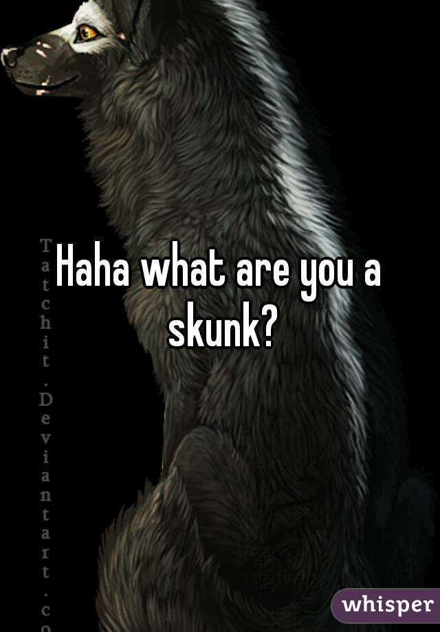 Haha what are you a skunk?