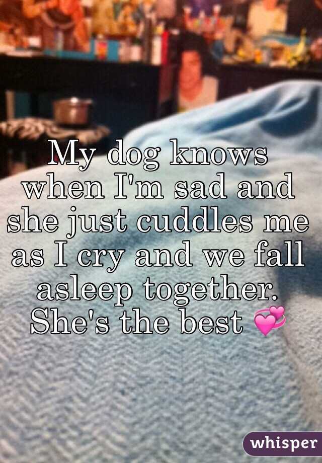 My dog knows when I'm sad and she just cuddles me as I cry and we fall asleep together. She's the best 💞