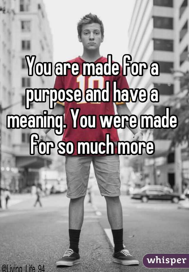 You are made for a purpose and have a meaning. You were made for so much more