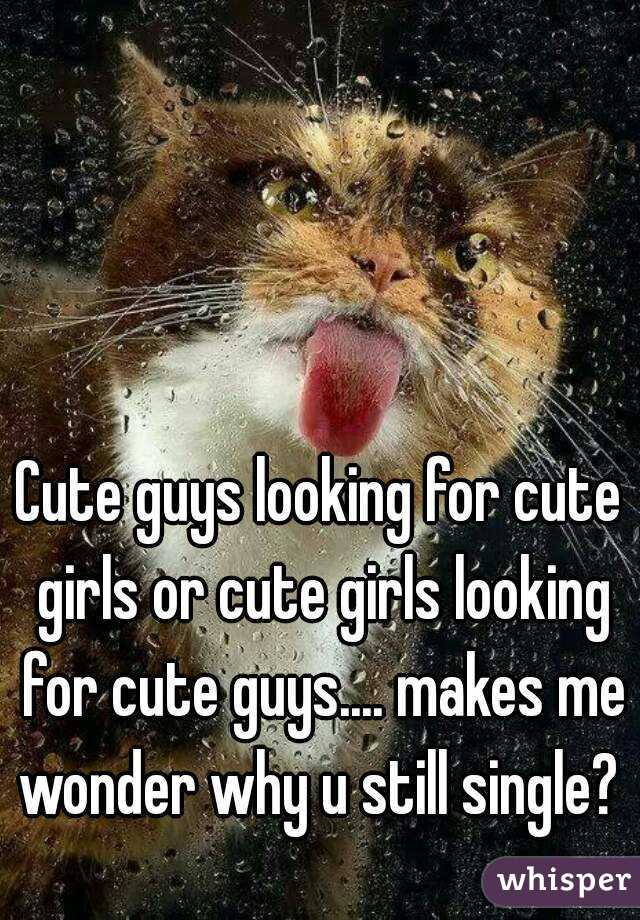 Cute guys looking for cute girls or cute girls looking for cute guys.... makes me wonder why u still single? 