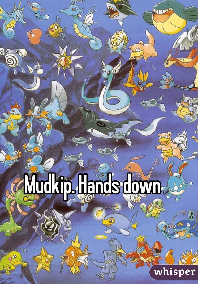 Mudkip. Hands down