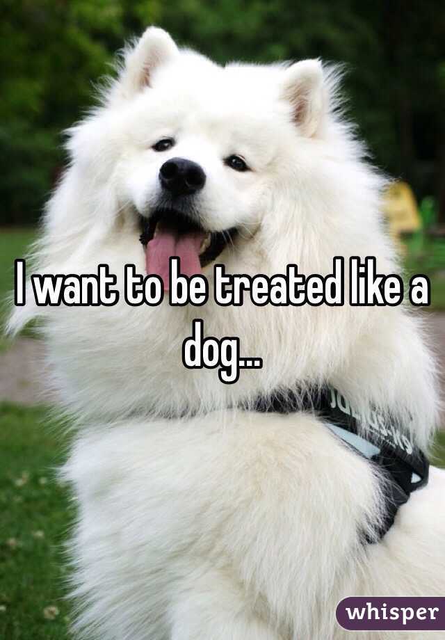 I want to be treated like a dog...