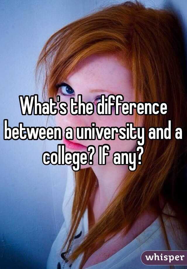 What's the difference between a university and a college? If any? 