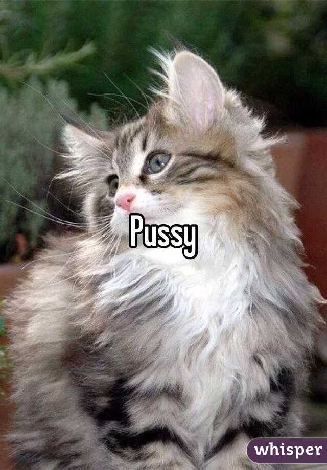 Pussy