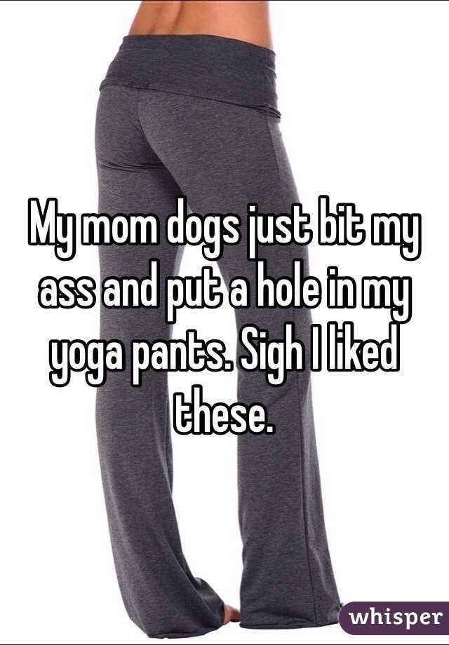 My mom dogs just bit my ass and put a hole in my yoga pants. Sigh I liked these. 