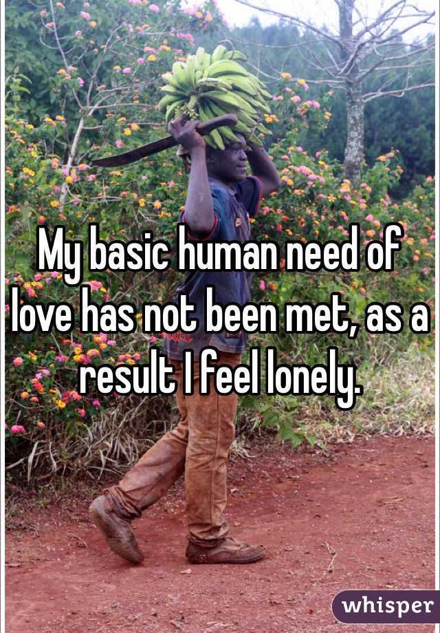 My basic human need of love has not been met, as a result I feel lonely.