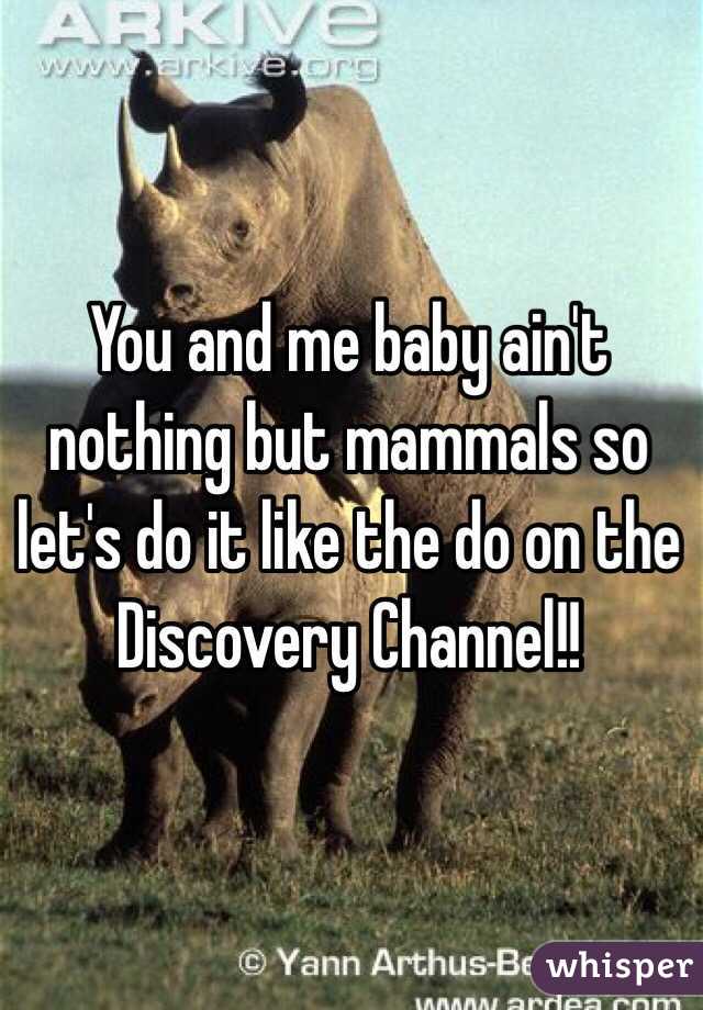 You and me baby ain't nothing but mammals so let's do it like the do on the Discovery Channel!!

