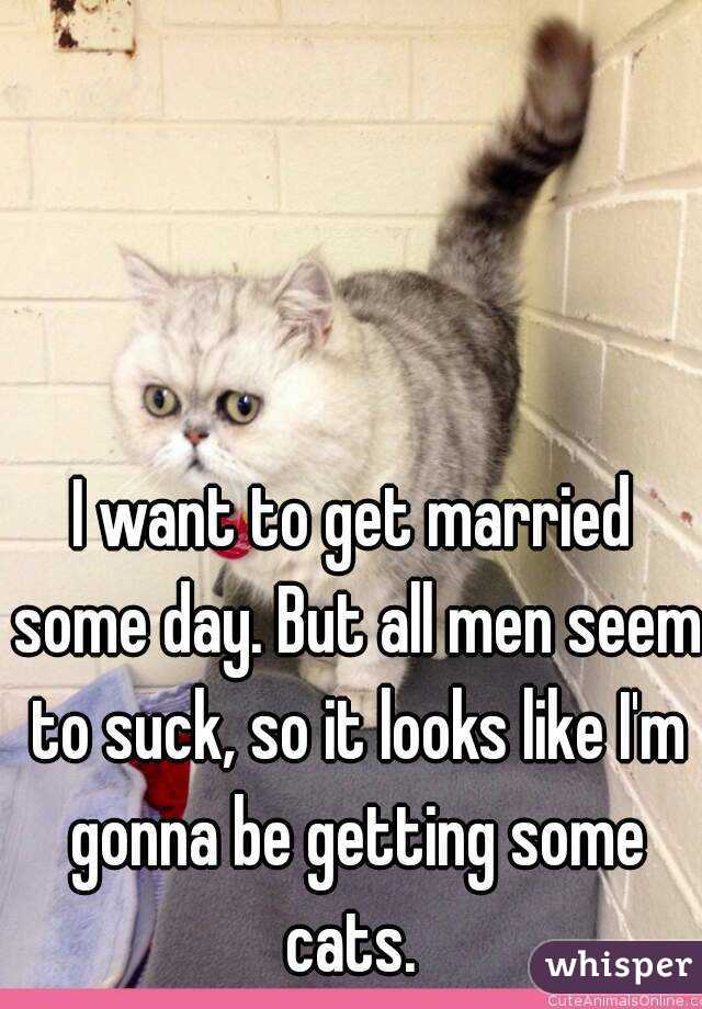 I want to get married some day. But all men seem to suck, so it looks like I'm gonna be getting some cats. 