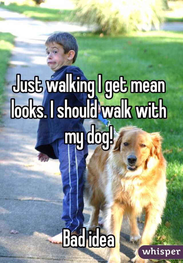 Just walking I get mean looks. I should walk with my dog!



Bad idea