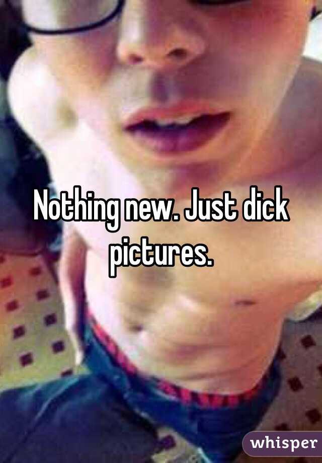 Nothing new. Just dick pictures. 