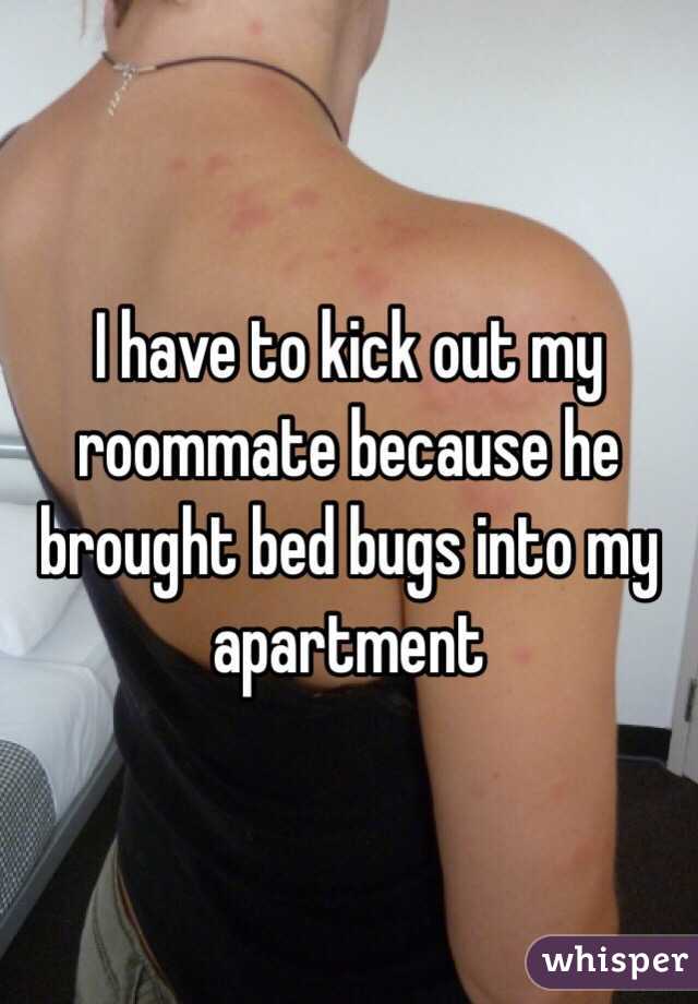 I have to kick out my roommate because he brought bed bugs into my apartment 