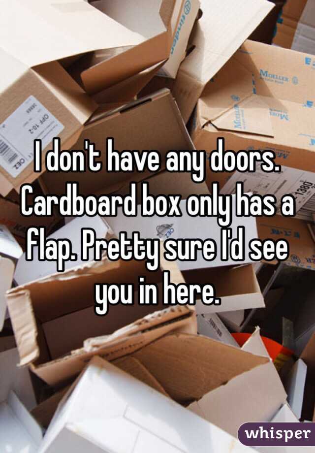 I don't have any doors. Cardboard box only has a flap. Pretty sure I'd see you in here. 