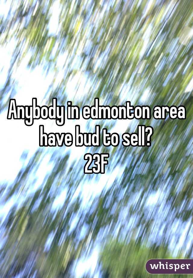 Anybody in edmonton area have bud to sell?
23F