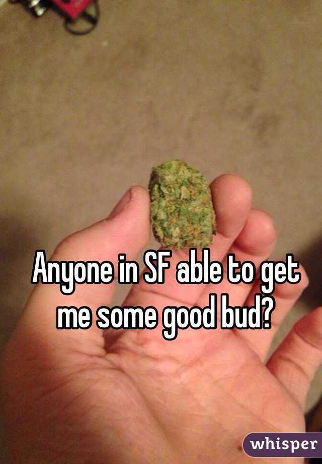 Anyone in SF able to get me some good bud? 
