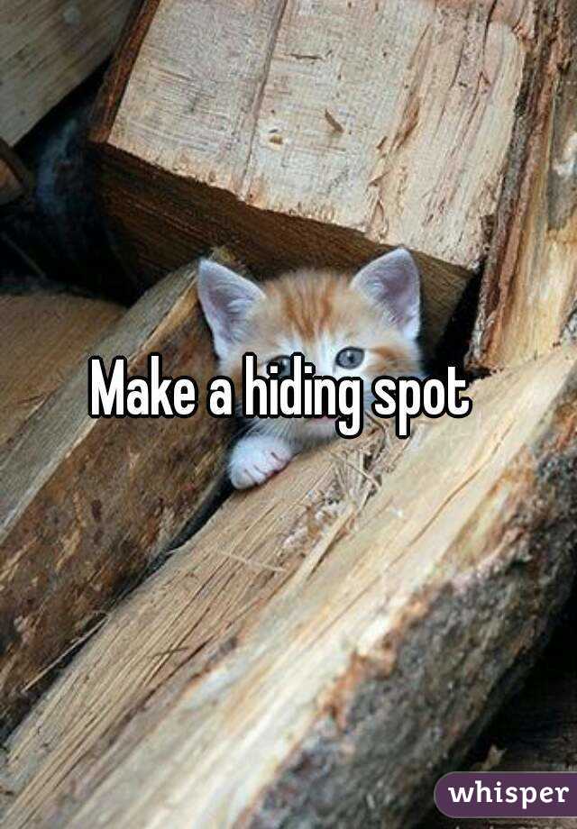 Make a hiding spot 