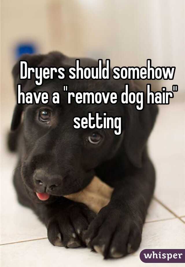 Dryers should somehow have a "remove dog hair" setting