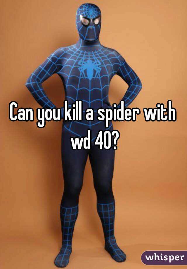 Can you kill a spider with wd 40?