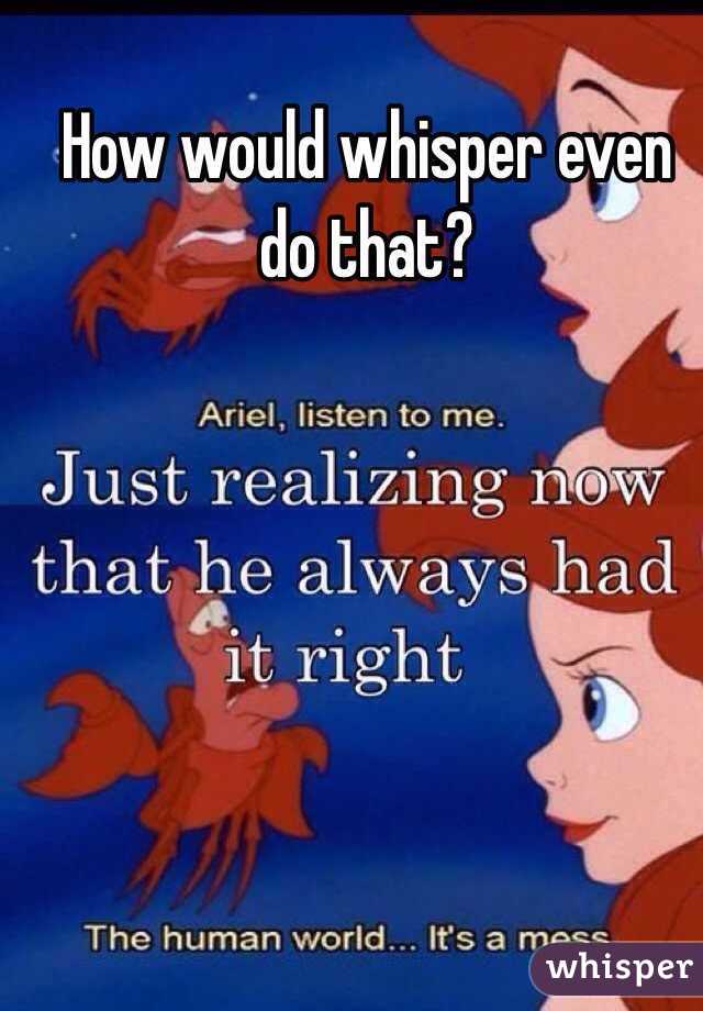 How would whisper even do that?

