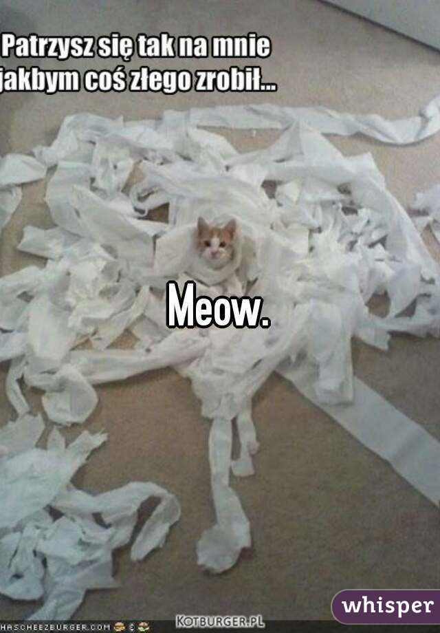 Meow.