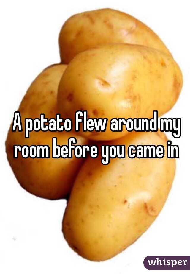 A potato flew around my room before you came in 