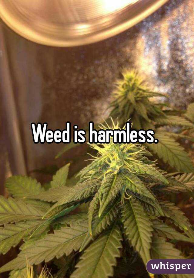 Weed is harmless. 