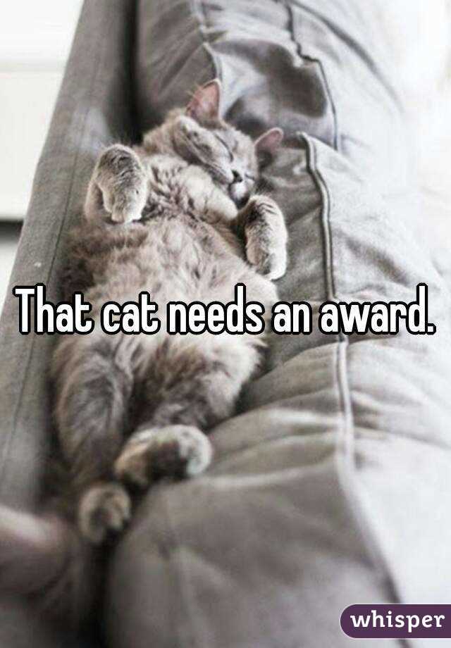 That cat needs an award.