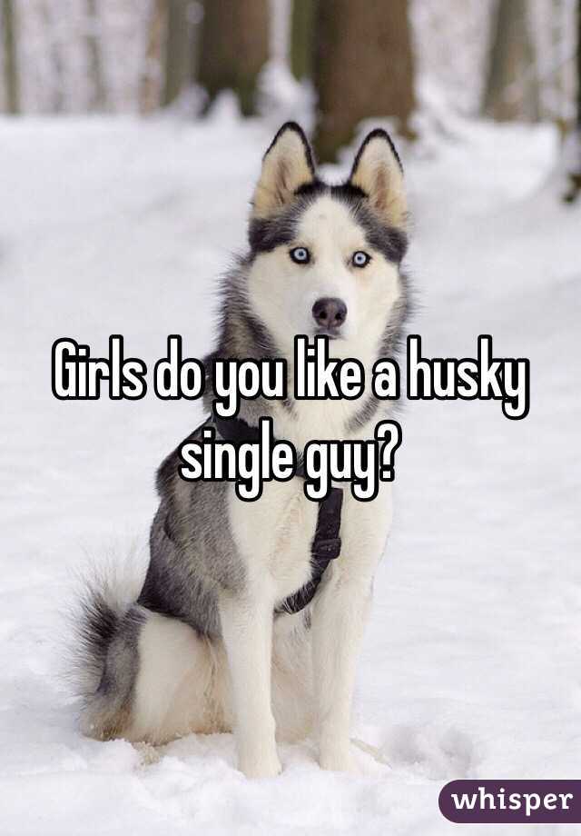 Girls do you like a husky single guy?