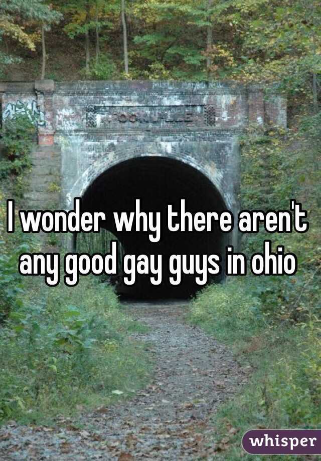 I wonder why there aren't any good gay guys in ohio